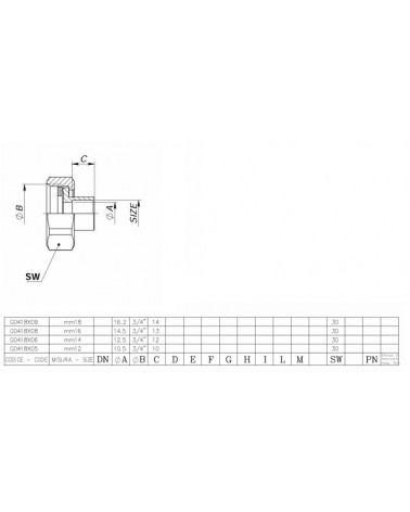 NEW INGAS COPPIA CODOL14MM