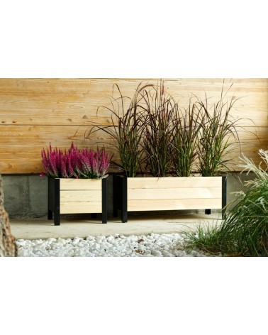 FIORIERA LAVANDA CM 118X36X32H