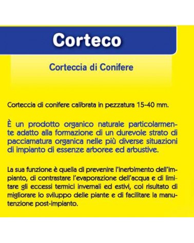 BANC CORTECCIA   PZ42x60LT