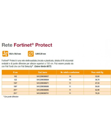 RETE FORTINET PROTECT H102