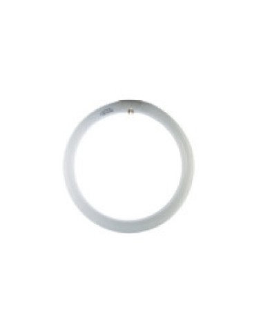 LAMPADA CIRCOLINA 22W NATU