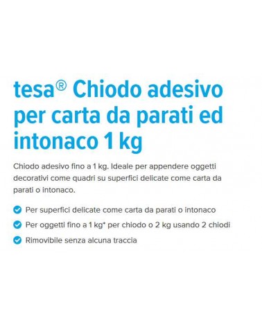 CHIODI ADES REG x MURO 1KG