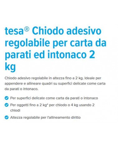 CHIODI ADES REG x MURO 2KG