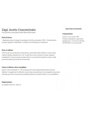 ZAPI ACETO CONCENTRATO 5LT