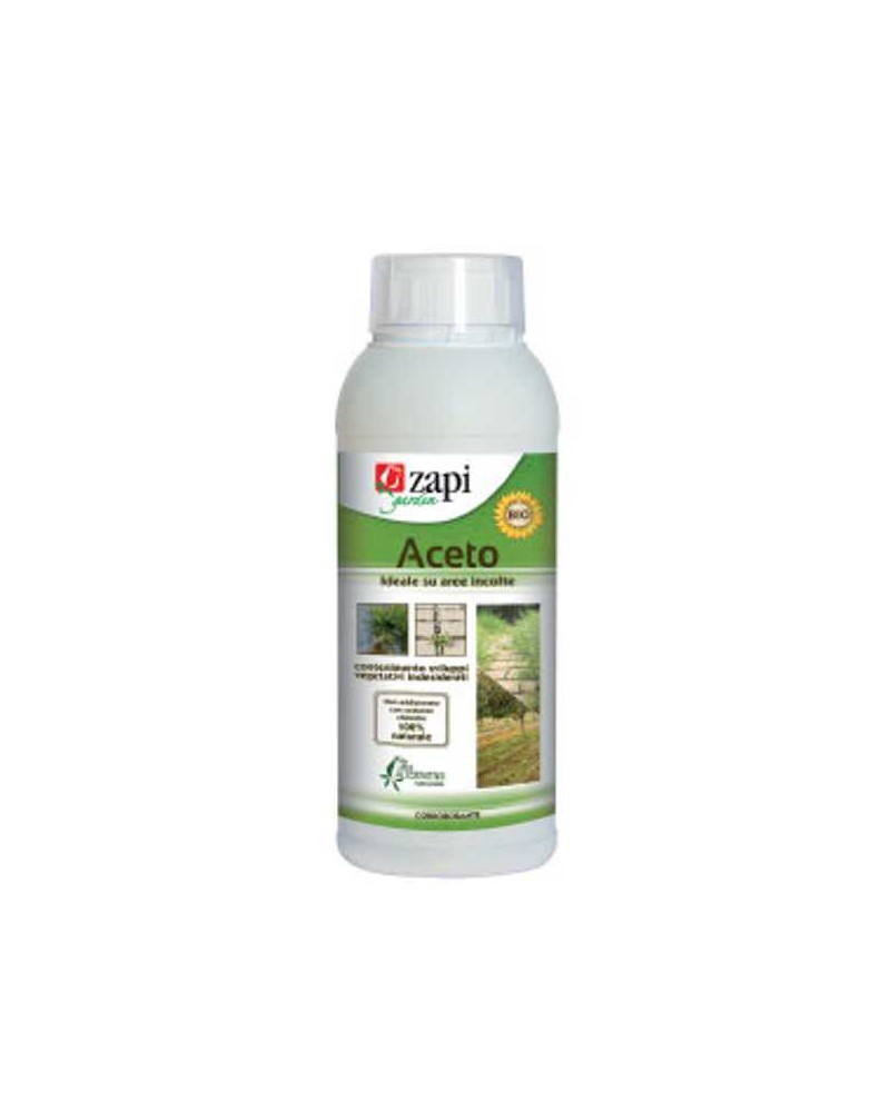 ZAPI ACETO CONCENTRATO 1LT