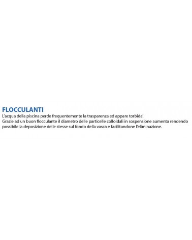 FLOCULANTE LIQUIDO DA 1 LT