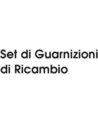 SET GUARNIZIONI RICAMBIO  