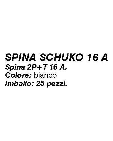 SPINA 2P+T 16A SCHUKO BIAN