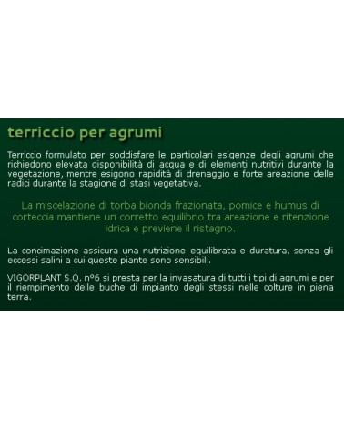 TERRICCIO AGRUMI      LT20