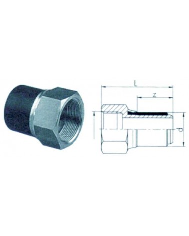 RACC TRANS PE/OT M2.1/2X75