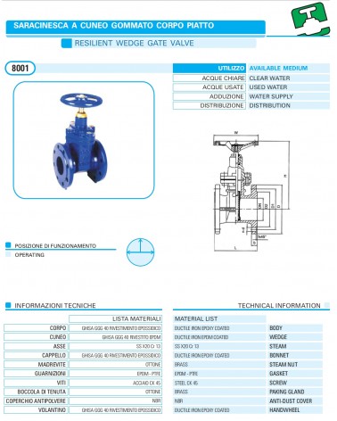 SARAC CP C/GOM PN16 DN 65 