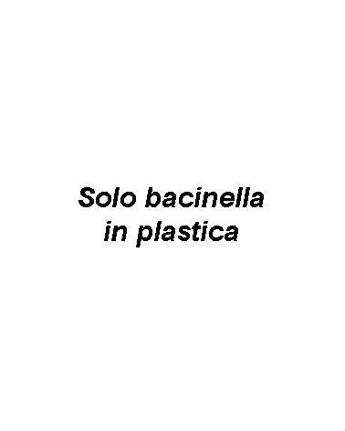 BACINELLA EXPORT PLAS.TRAS