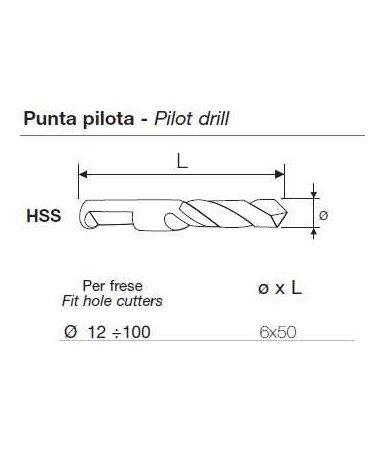 PUNTA PILOTA diametro 6x50 diametro 12/100