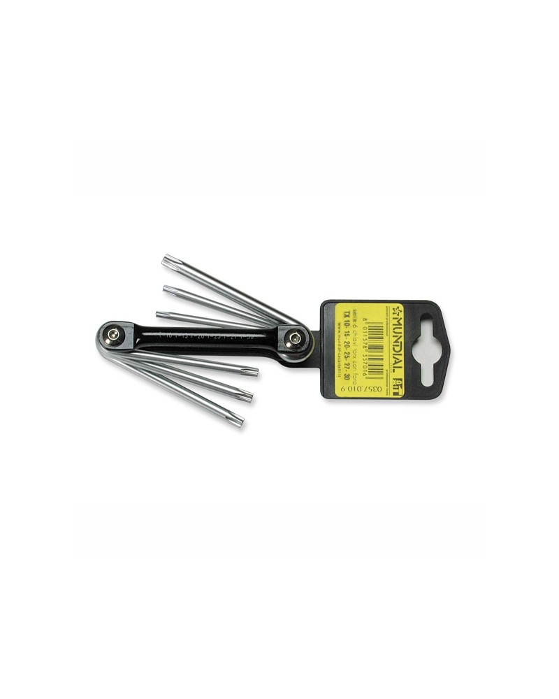 SERIE 6 CHIAVI TORX       