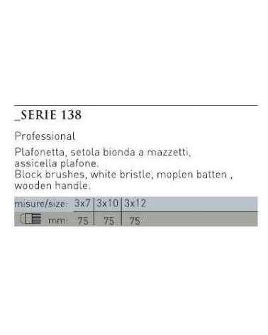 PLAFONE PROFESSIONALE 3X7 