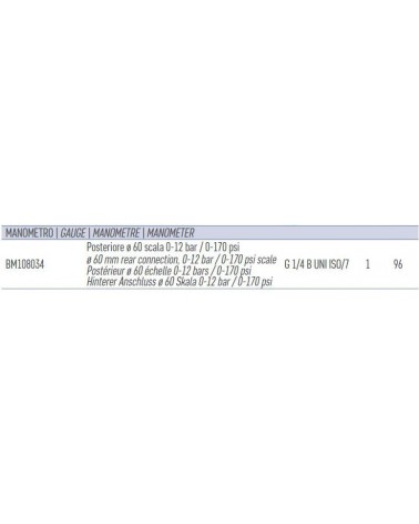 MANOM POS 0-12BAR 0-170PSI