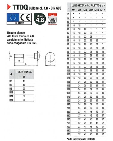 CAVICCHIE ZINC M6x30  500P