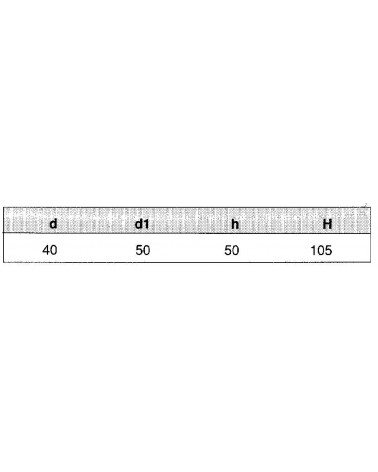 RIDUZIONE ECCENTR  50Fx40M