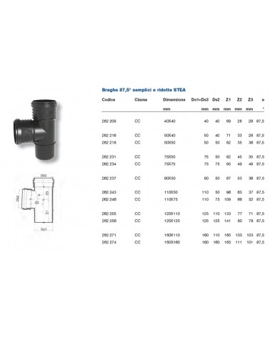 BRAGA SITECH+diametro  110/110 87?