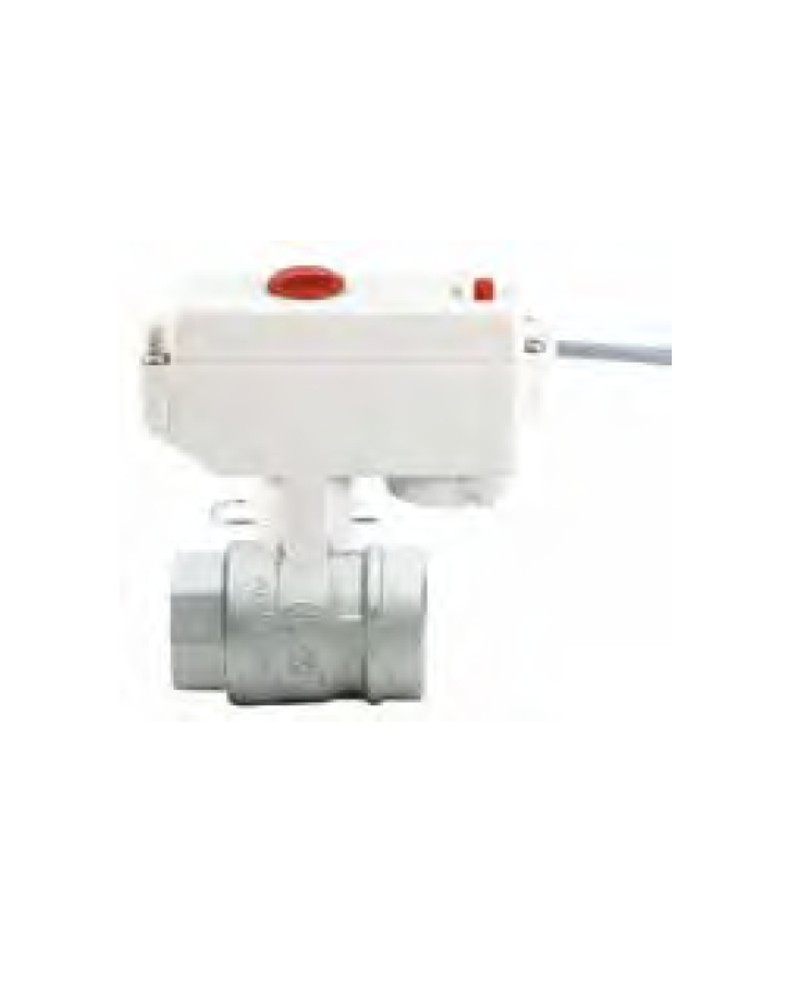 VALV.SFER MOTORIZ 1"  220V