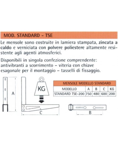 STAFFA A MURO TSE 250  2PZ