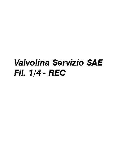 VALV SERV FIL 1/4M+VAL+CAP