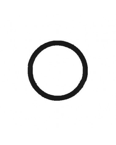 O-RING NERO 22MM EPDM     