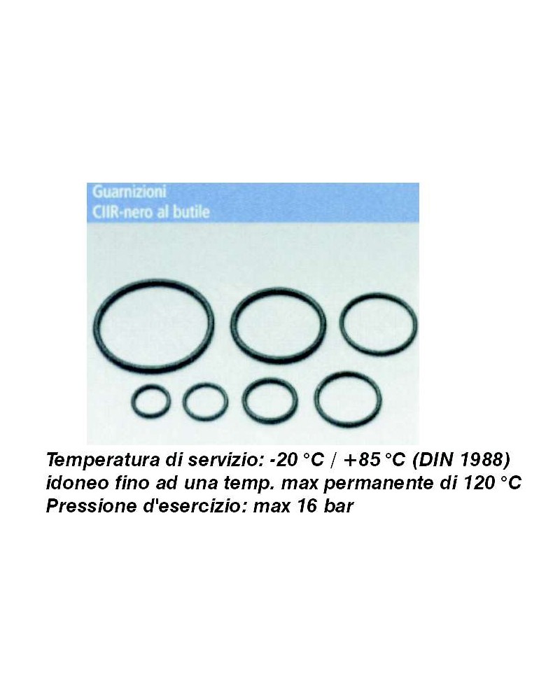 O-RING diametro 15MM INOX-ACC CARB