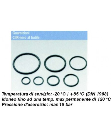 O-RING diametro 15MM INOX-ACC CARB